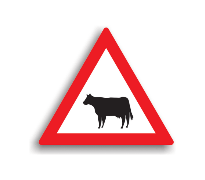 A25 - Animale - Domestice (70 cm – CLASA I)