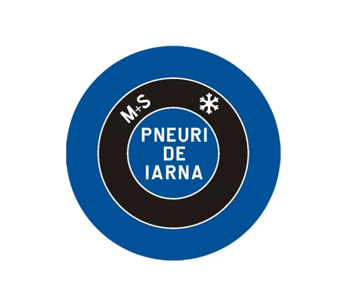 D16a - Pneuri de iarnă obligatorii (Ø60 cm - CLASA I)